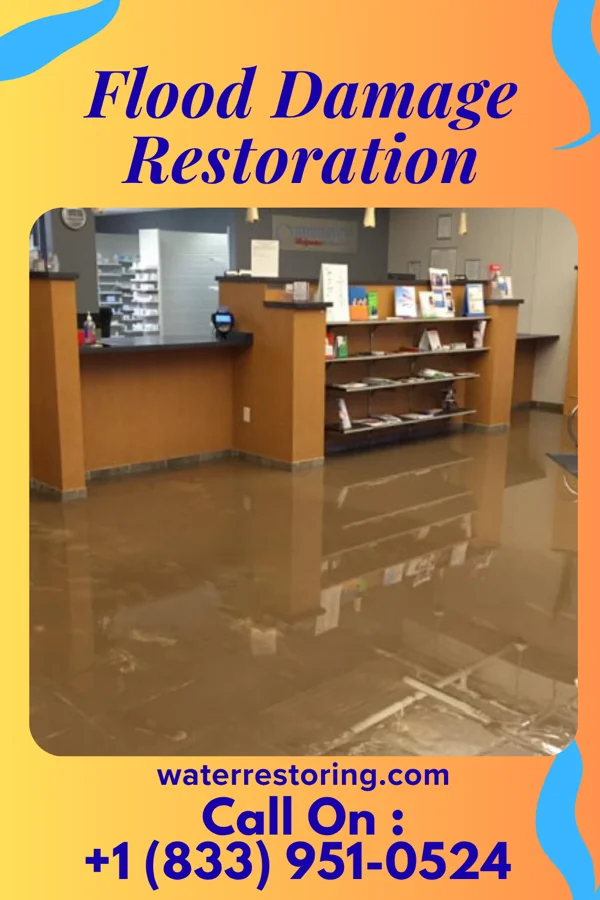 Flood Damage Restoration in Johnston City, IL